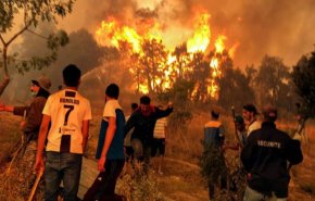 ارتفاع حصيلة ضحايا حرائق الغابات في الجزائر لـ 34 قتيلا
