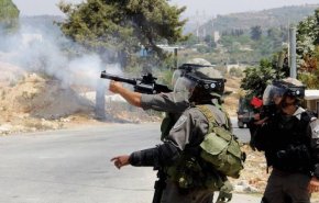 شاهد.. قوات اسرائيلية ترتکب جريمة حرب في نابلس 