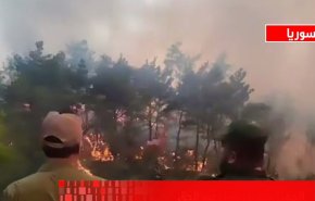 آتش سوزی در جنگل های لاذقیه سوریه+ ویدیو