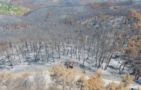 دیدار رئیس جمهور سوریه با تیم اطفای آتش سوزی جنگل های لاذقیه