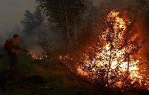 36 قتيلا بحريق غابات في جزر هاواي