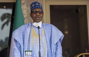 رئیس‌جمهور نیجریه: تعامل با سران کودتای نیجر حیاتی است
