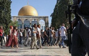 الصهاينة يقتحمون مسجد الاقصی والمسجد الابراهيمي