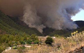 گسترش آتش‌سوزی جنگلی در تنریف اسپانیا هزاران نفر را مجبور به ترک خانه‌هایشان کرد