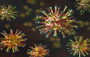 الكشف عن سرعة تطور فيروس كوفيد19