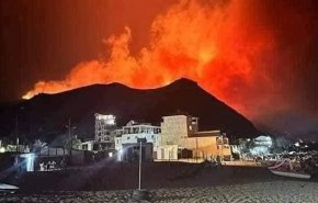 شاهد.. حرائق الغابات تصل إلى المنازل في الجزائر