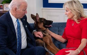 بالصورة.. كلب بايدن يعض 11 عميلا للخدمة السرية بالبيت الأبيض!