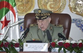 رئيس أركان الجيش الجزائري يحذر من امتلاك جماعات إرهابية مواد كيميائية 