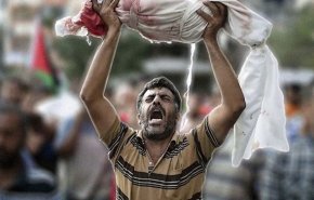 افزایش شمار شهدای غزه به 3 هزار نفر