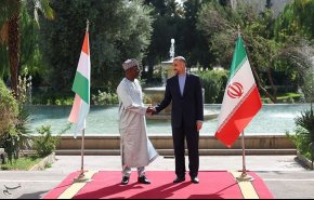 أمير عبداللهيان يستقبل وزير خارجية النيجر
