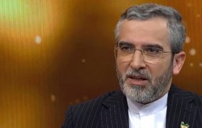 باقري: اميركا عاجزة عن القضاء على حماس