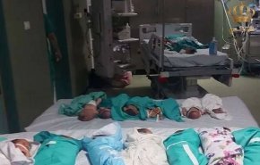 وفاة 6 أطفال خدج و 9 مرضى بمشفى الشفاء لانقطاع الكهرباء