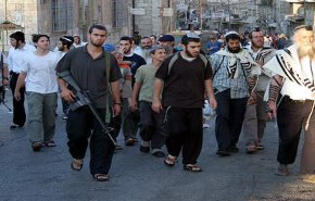 إصابات واعتقالات بهجوم للمستوطنين على قرية خلة الضبع بمسافر يطا