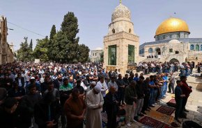 فراخوان جوانان فلسطینی برای نماز جمعه در مسجدالاقصی