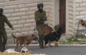 الاحتلال يطلق جنوده وكلابه البوليسية لترويع أهل غزة