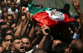 شهادت 313 فلسطینی در کرانه باختری از زمان جنگ غزه 