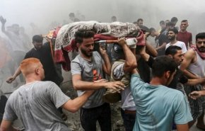 شمار شهدای غزه به 22313 نفر افزایش یافت