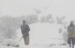 بارش برف سنگین در روستای دره‌هرد مریوان