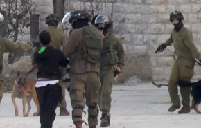 كلاب جيش الاحتلال تعتدي على طفل في الضفة الغربية
