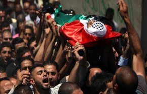 شهادت ۲۴ فلسطینی در بمباران غزه
