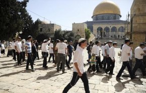 عشرات المستوطنين المحتلين يقتحمون المسجد الأقصى
