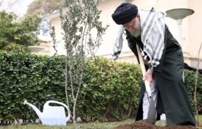 بالفيديو..قائد الثورة الإسلامية يغرس شجرة بمناسبة أسبوع الموارد الطبيعية 
