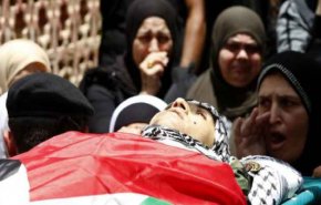 483 شهید در کرانه باختری از ابتدای جنگ غزه
