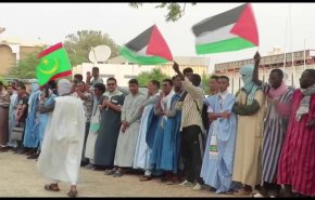 تأسياً بالحراک الطلابي العالمي؛ جامعات موريتانيا تنتصر لغزة