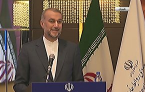 أميرعبداللهيان: إيران لديها الاستعداد لتحقيق مبادئ الشعب الفلسطيني + فيديو