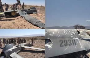 القوات اليمنية تعلن اسقاط طائرة أمريكية في أجواء محافظة البيضاء