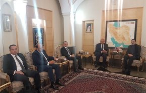 وزير خارجية مصر  يصل طهران
