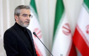 باقري : تقاعس مجلس الأمن في الرّد على جرائم الصهاينة يزعزع استقرار المنطقة