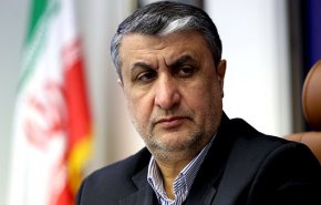رئیس سازمان انرژی اتمی: ایران انحصار را شکسته است
