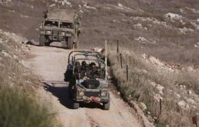 تصاعد الأنشطة 