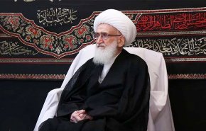 آية الله نوري همداني يدعو احرار العالم لدعم اهالي غزة والشعب اليمني
