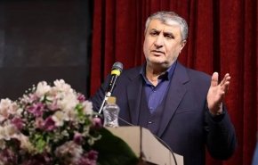 كم بلغت تكلفة محطة بوشهر النووية وما هي الفوائد التي حصلت عليها؟