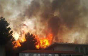 حرائق ملتهبة تلتهم مستوطنات في فلسطين المحتلة + فيديو