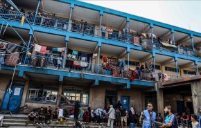 التعليم بغزة.. 14,784 طالبًا استُشهدوا و24,766 أصيبوا منذ بدء العدوان