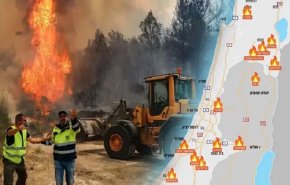 بالفيديو.. من يقف وراء إشعال الحرائق الضخمة في جبال القدس؟