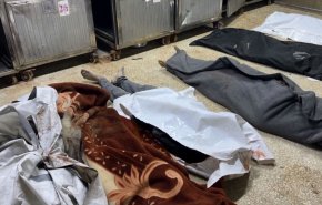 صحة غزة تحذر من انهيار النظام الصحي في القطاع + فيديو