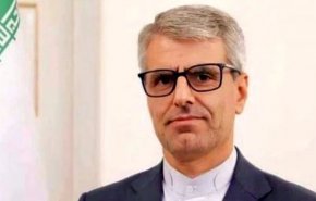 بقائی: ایران مصمم به پیگیری حقوق قانونی خود و تعاملات دیپلماتیک است