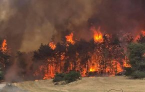 آتش‌سوزی گسترده در نزدیکی «اشدود» اشغالی و تخلیه خانه‌های مسکونی «کفار آفیو»