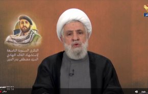 شیخ نعیم قاسم : سوریه باید متحد باشد