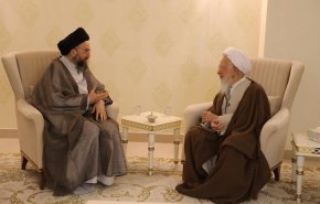 رایزنی حکیم و آیت‌الله جوادی آملی درباره چالش‌های امت اسلامی 