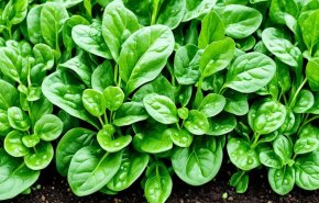 7 أطعمة تقهر فقر الدم طبيعيا... لا تتجاهلها