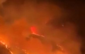 غرب عربستان در محاصره آتش + فیلم
