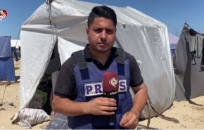 درد و رنج بی‌پایان جنگ زدگان غزه در جستجوی غذا + فیلم