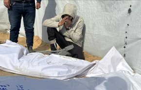 شهادت ۶۰ فلسطینی دیگر در غزه/ شمار شهدا به ۵۴ هزار و ۳۸۱ نفر رسید