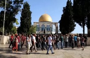655 مستوطنا يقتحمون 'الأقصى' ويؤدون طقوسهم عند أبوابه