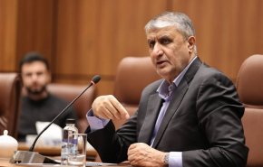 إسلامي: لن نستسلم للضغوط السياسية التعسفية